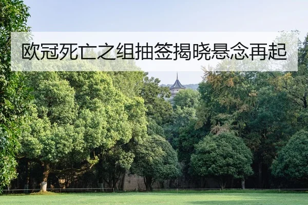 欧冠死亡之组抽签揭晓悬念再起